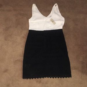 Loft Black and White Dress-New with tag